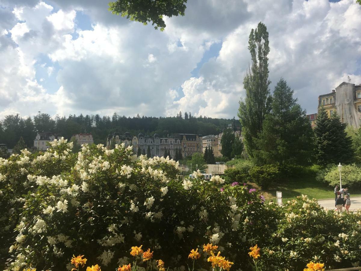 Apartament Residenz Emilia Mariańskie Łaźnie Zewnętrze zdjęcie